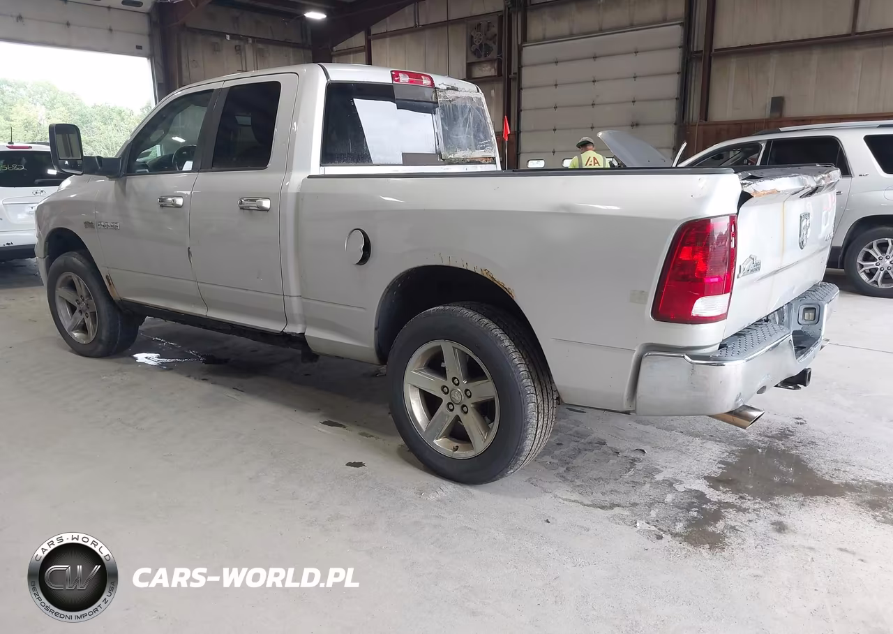 2010 Dodge Ram 1500 Slt-Sport-Trx VIN:1D7RV1GT4AS256426 - 3