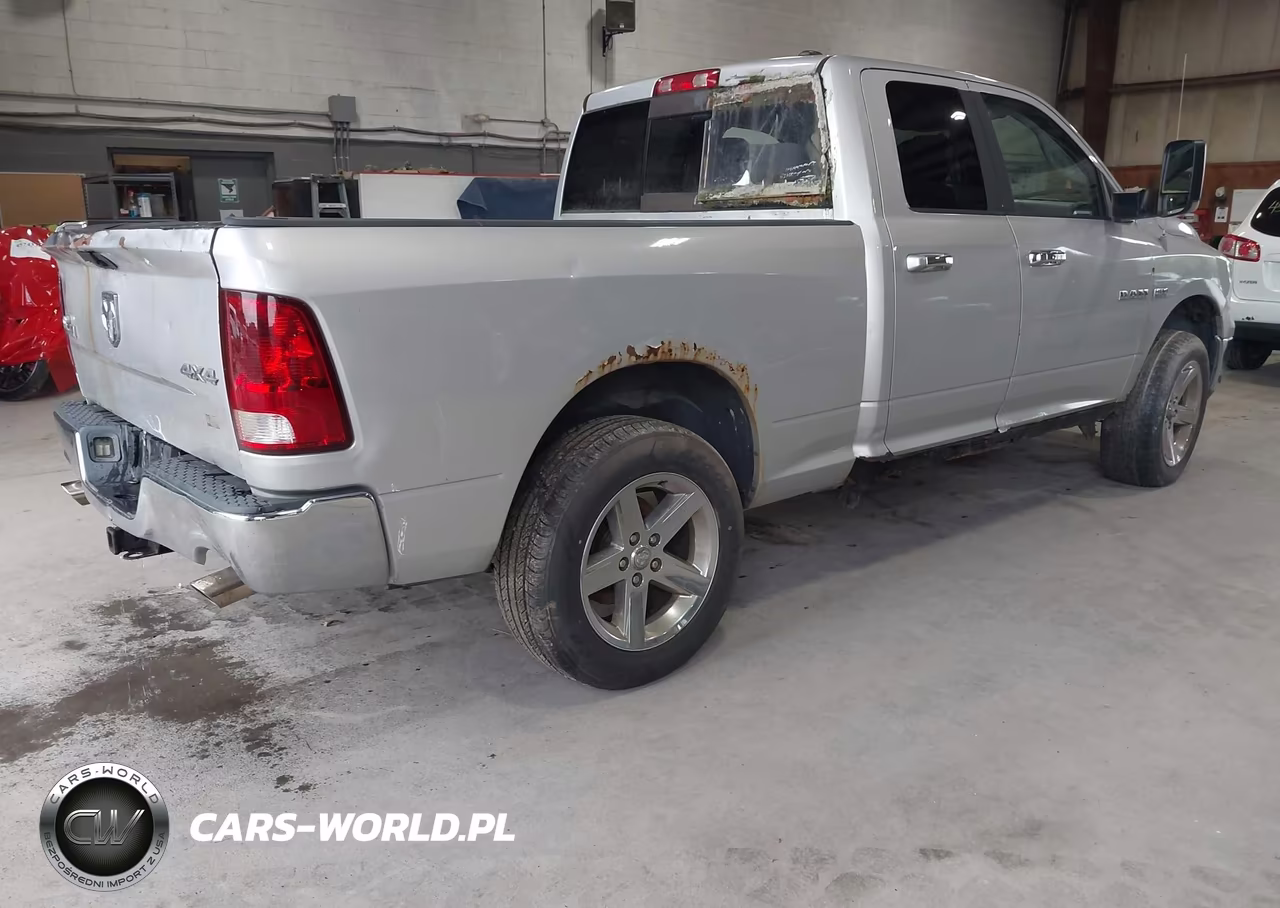2010 Dodge Ram 1500 Slt-Sport-Trx VIN:1D7RV1GT4AS256426 - 4