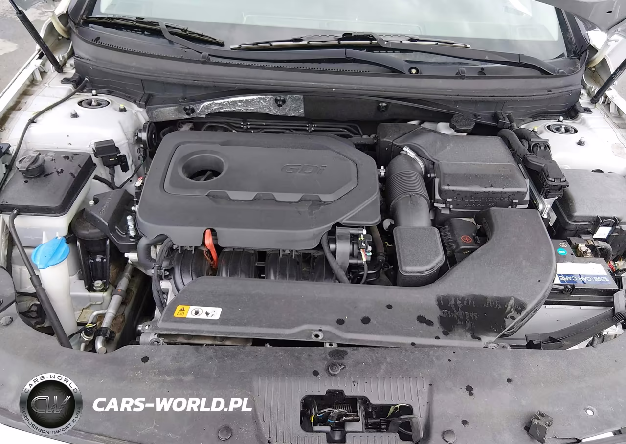 2015 Hyundai Sonata Se VIN:5NPE24AF3FH243727 - 10