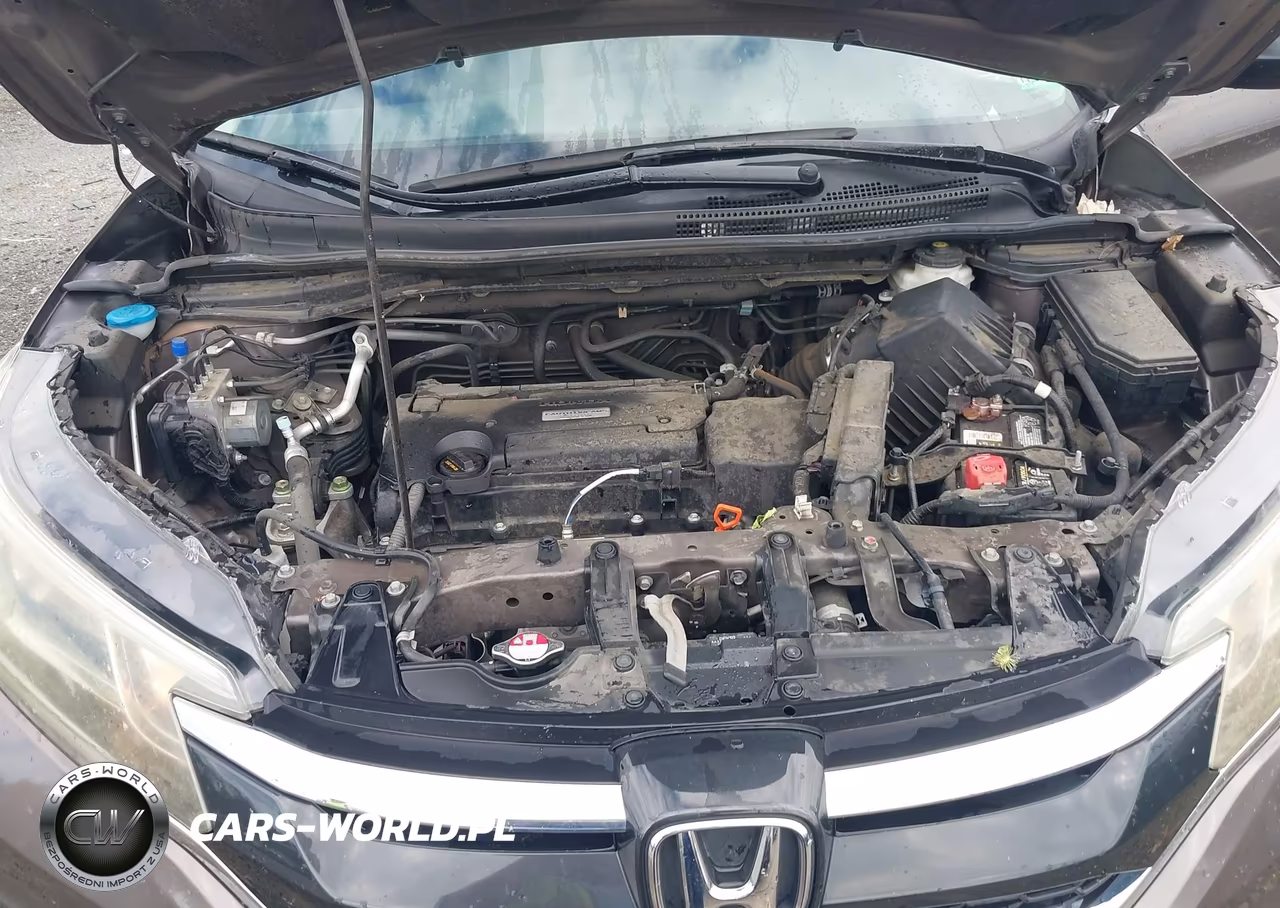 2016 Honda Cr-V Se VIN:2HKRM4H45GH702032 - 10