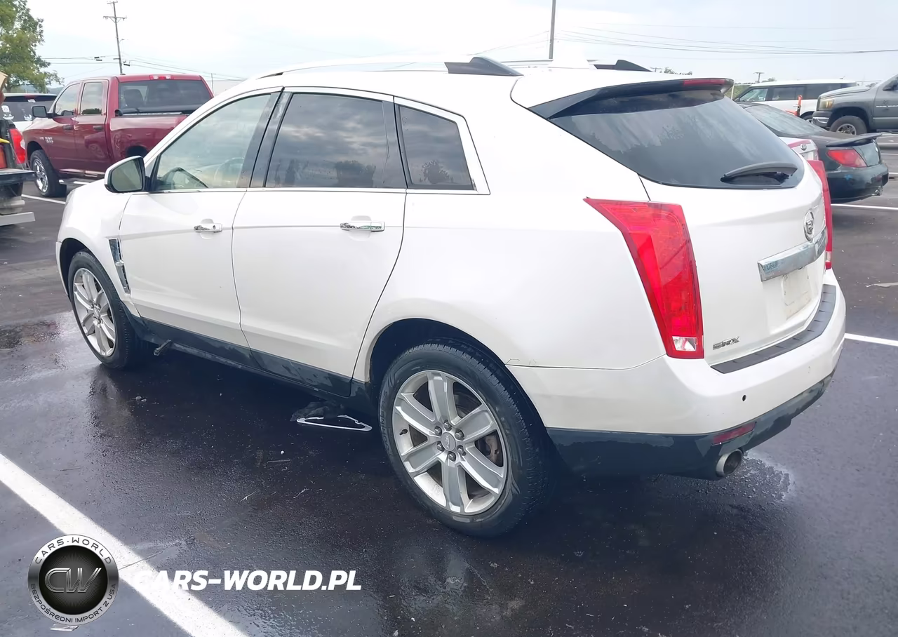 2010 Cadillac Srx Luxury Collection VIN:3GYFNAEY1AS612633 - 3