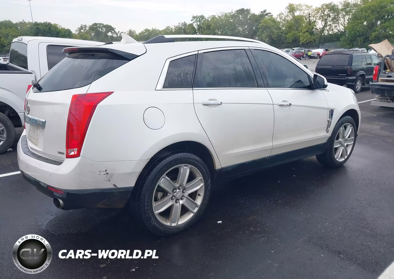 2010 Cadillac Srx Luxury Collection VIN:3GYFNAEY1AS612633 - 4