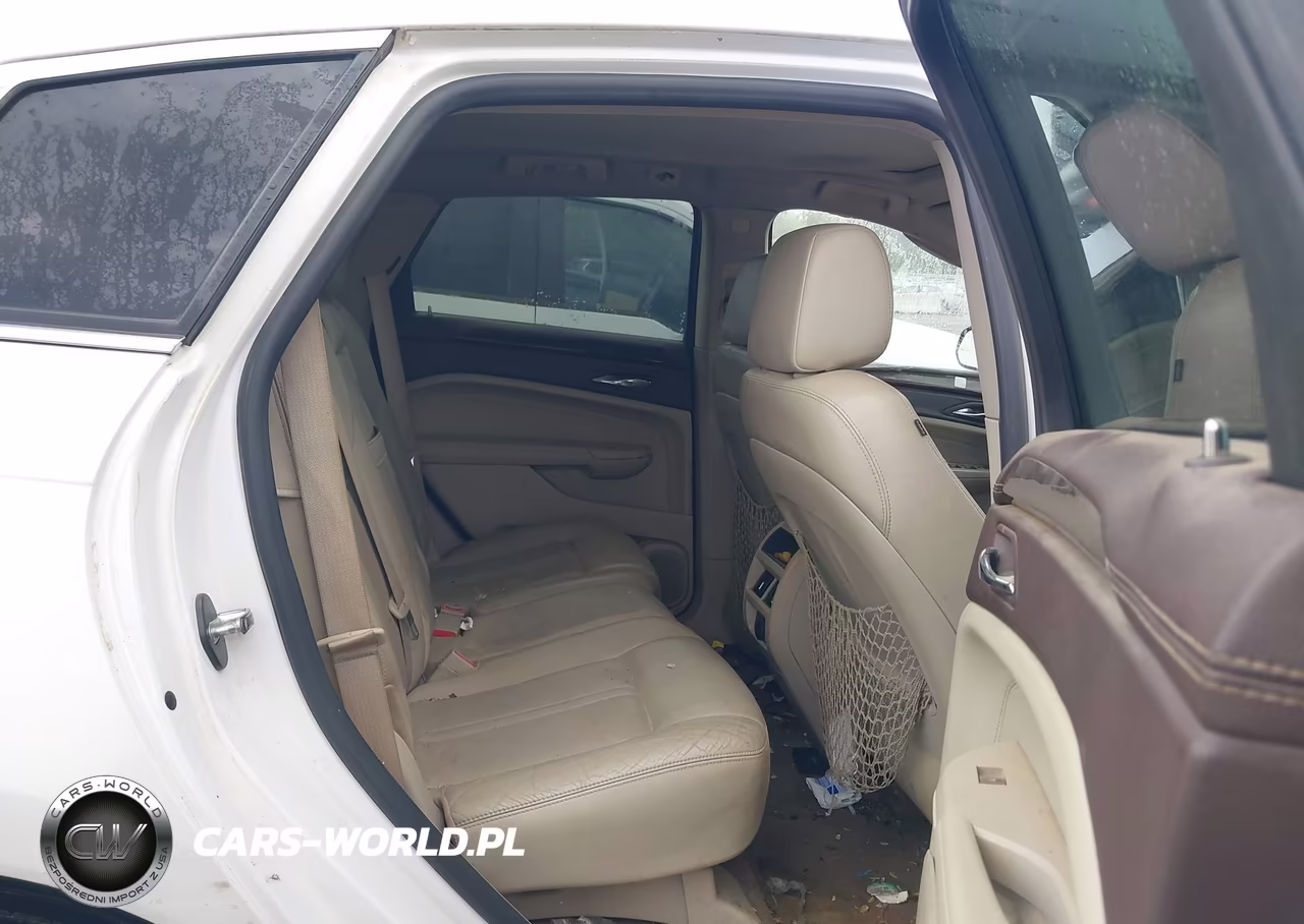 2010 Cadillac Srx Luxury Collection VIN:3GYFNAEY1AS612633 - 8