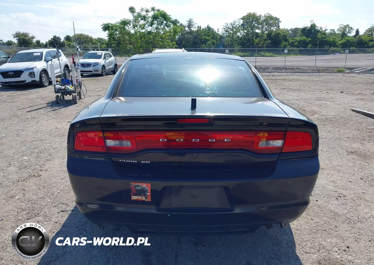 2014 Dodge Charger Police VIN:2C3CDXAG8EH124806 - 16