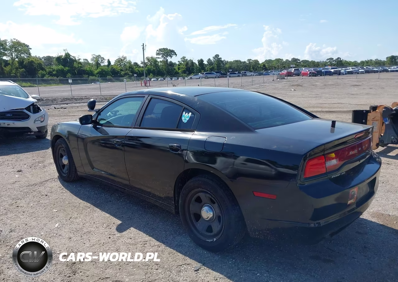 2014 Dodge Charger Police VIN:2C3CDXAG8EH124806 - 3