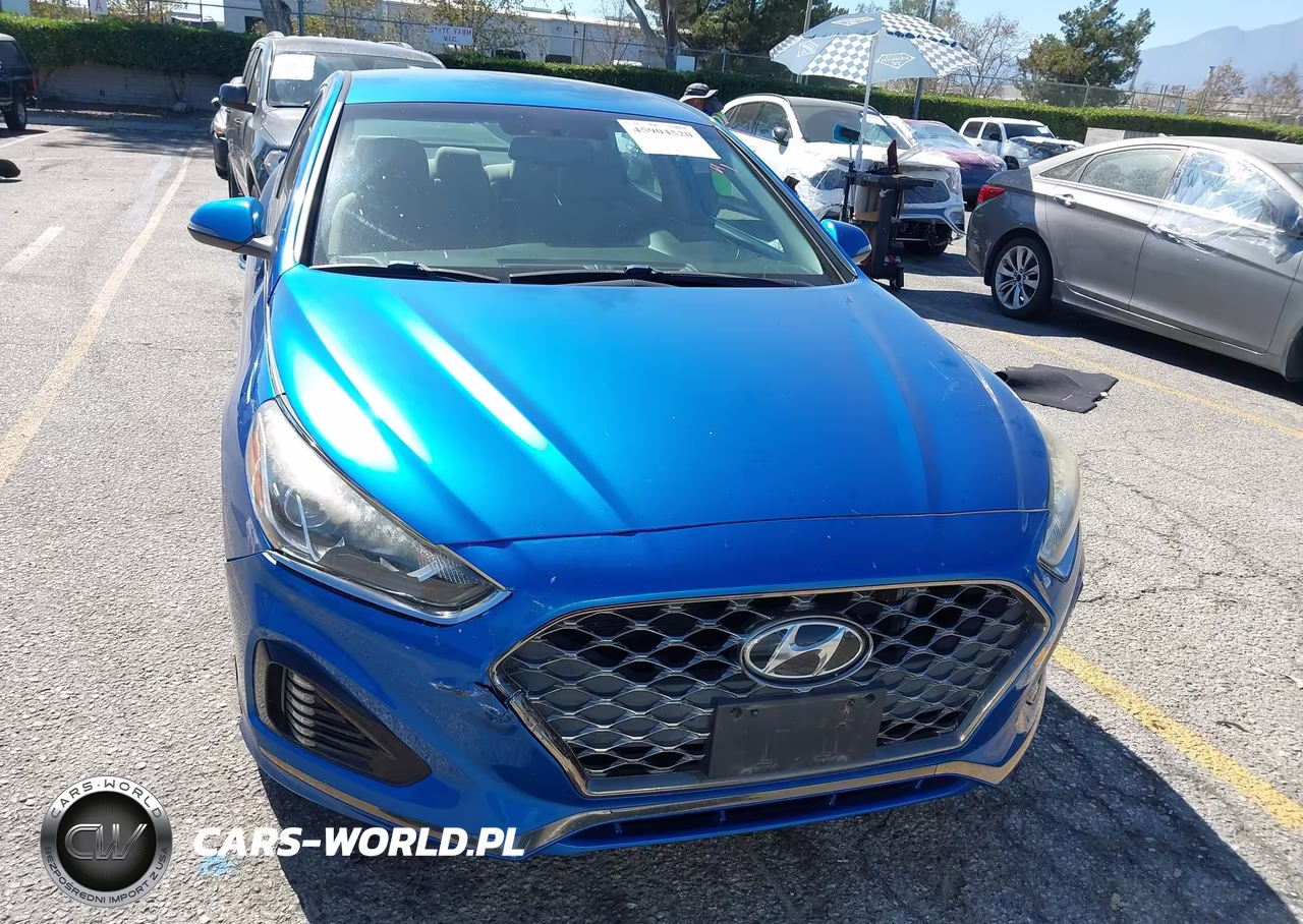 2019 Hyundai Sonata Sel VIN:5NPE34AFXKH749627 - 13