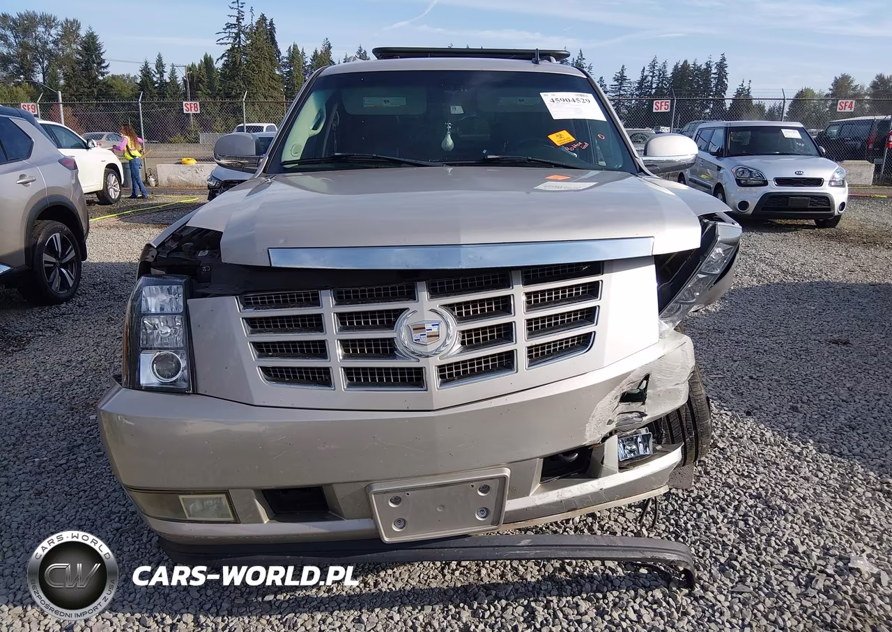 2008 Cadillac Escalade Esv VIN:1GYFK66818R155601 - 12