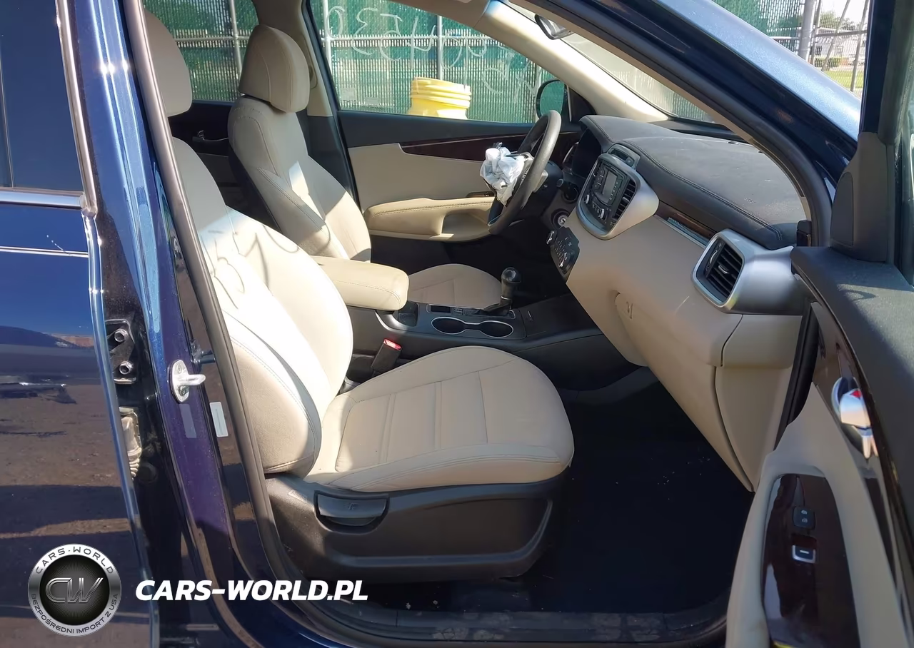2017 Kia Sorento 3.3L Lx VIN:5XYPGDA50HG243129 - 5