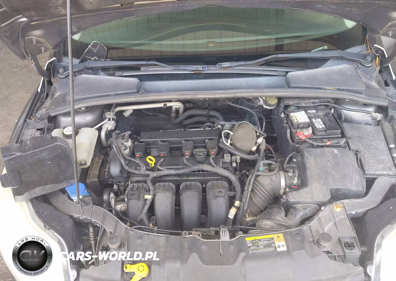 2013 Ford Focus Se VIN:1FADP3F26DL305715 - 10