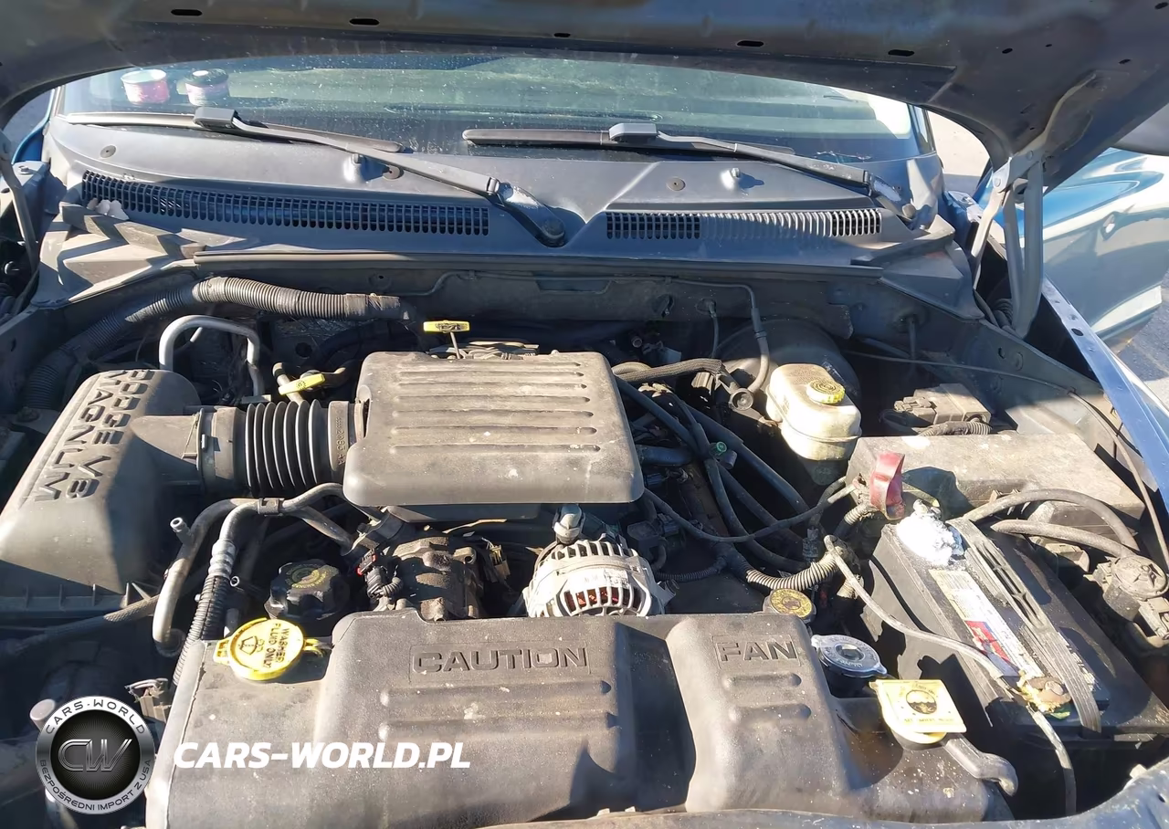 2003 Dodge Durango Sport-Sxt VIN:1D4HR38N33F619500 - 10