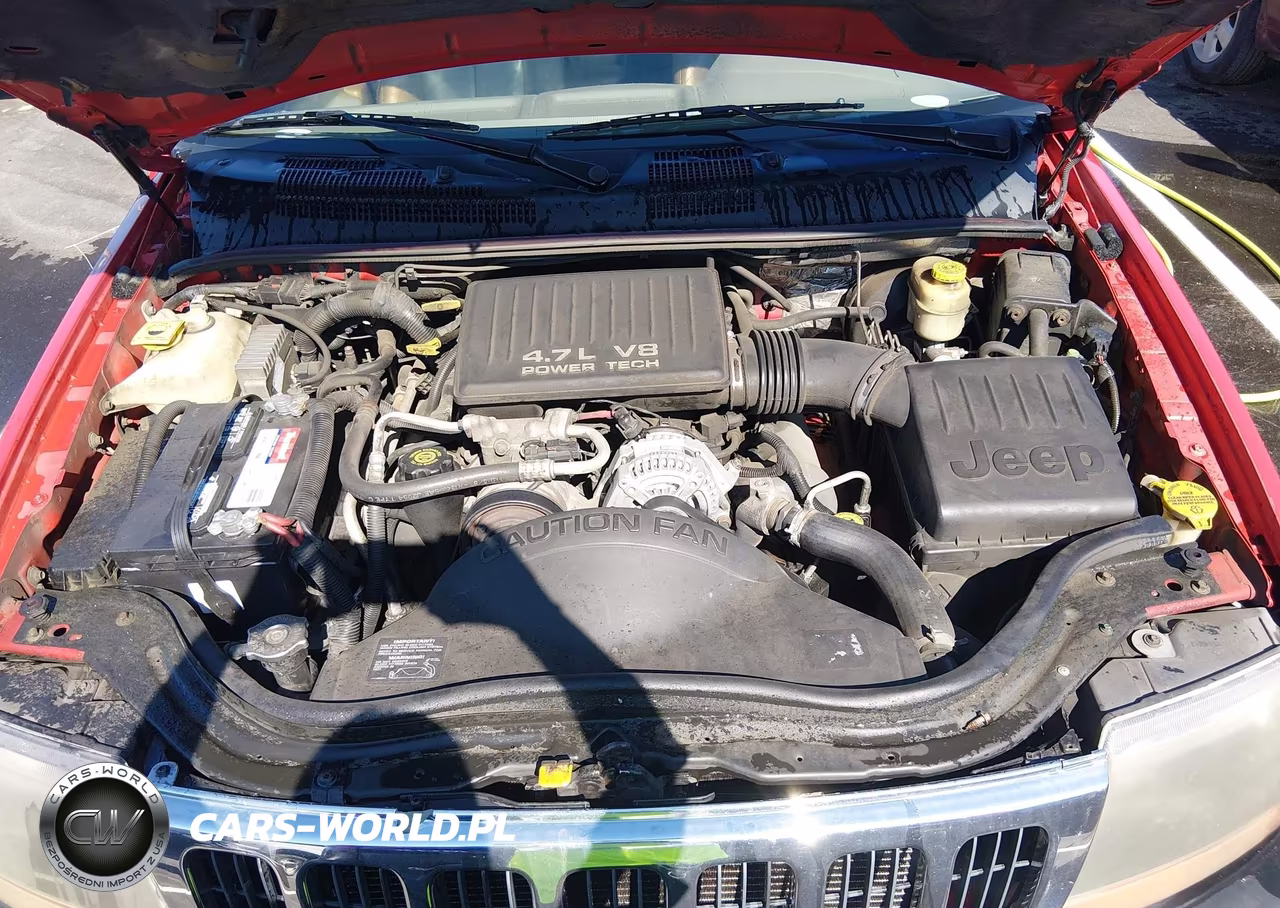 2000 Jeep Grand Cherokee Laredo VIN:1J4GW48N5YC411192 - 10