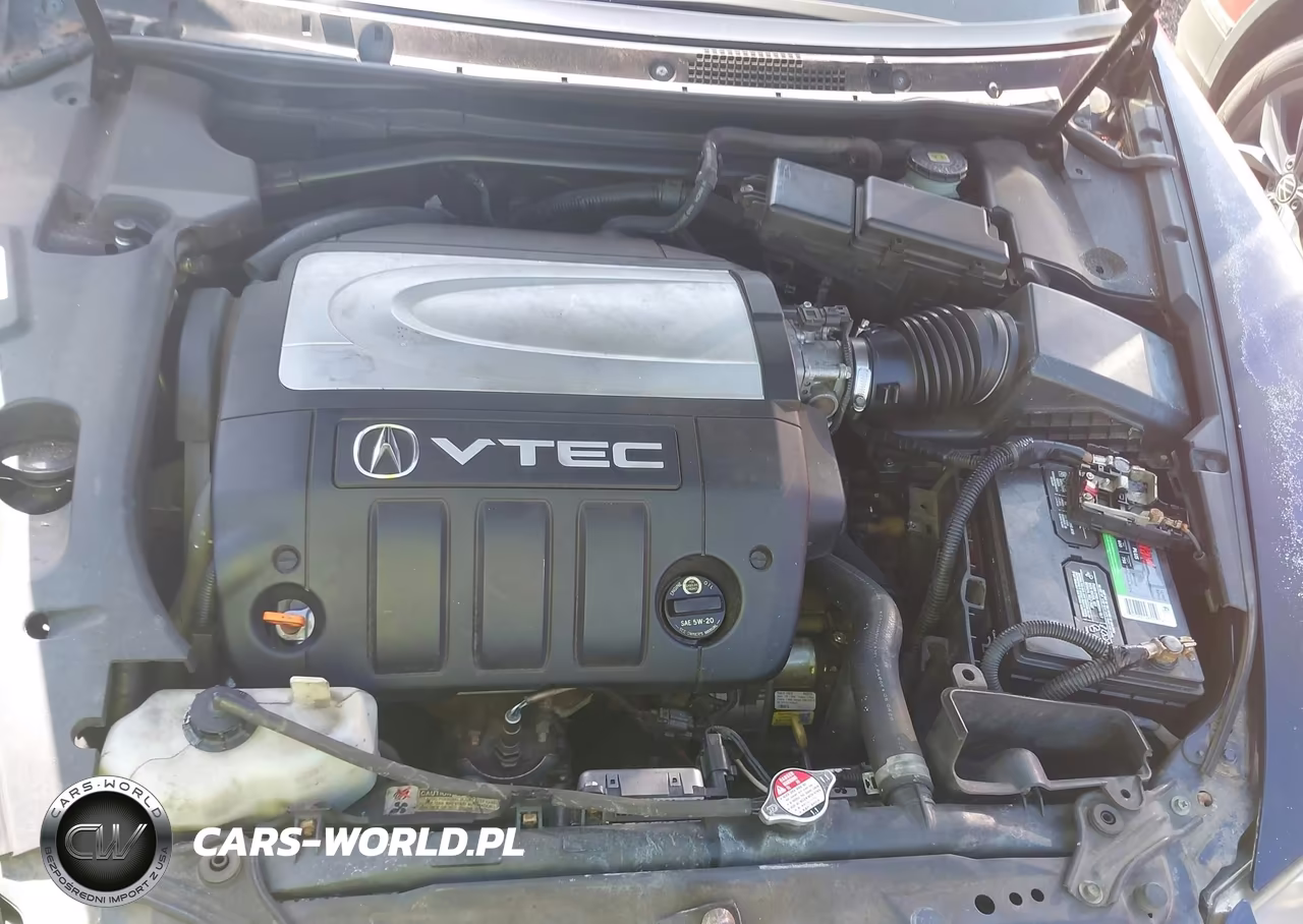 2005 Acura Rl 3.5 VIN:JH4KB16555C019398 - 10