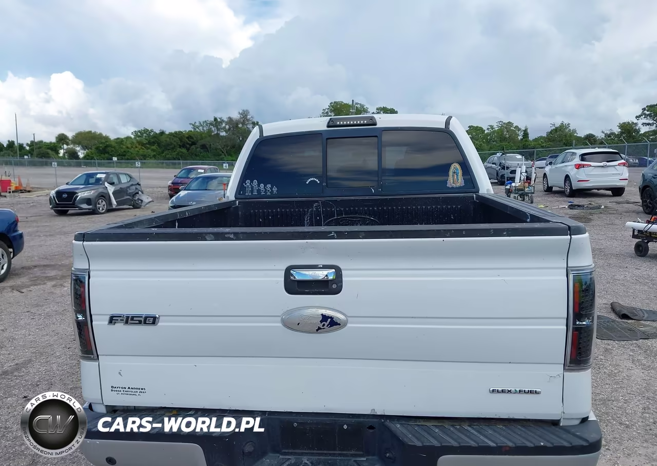 2011 Ford F-150 Xlt VIN:1FTFW1CF1BFD22130 - 21