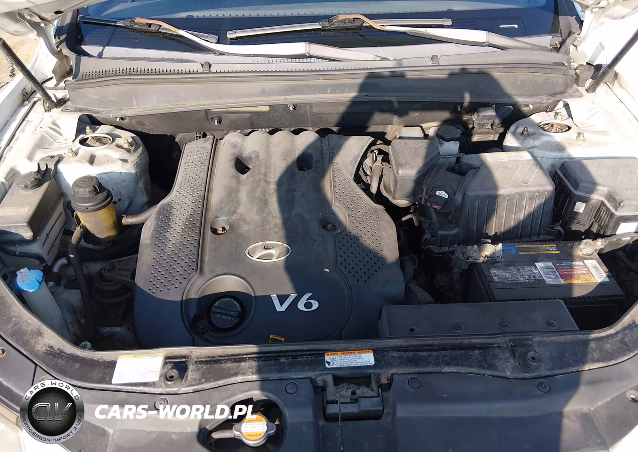 2008 Hyundai Santa Fe Gls VIN:5NMSG73D28H152028 - 10