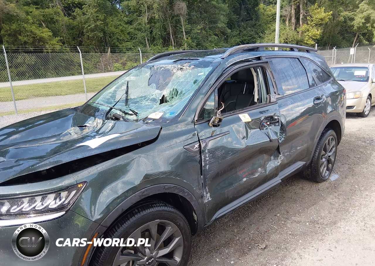 2023 Kia Sorento X-Line Ex VIN:5XYRHDLFXPG171480 - 11