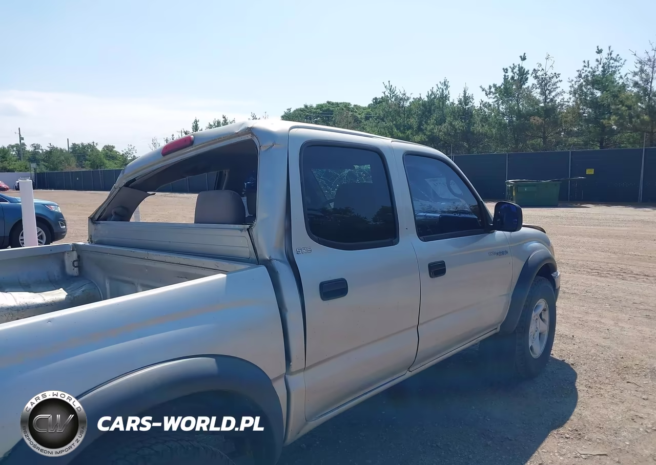 2004 Toyota Tacoma Prerunner V6 VIN:5TEGN92N64Z384837 - 18