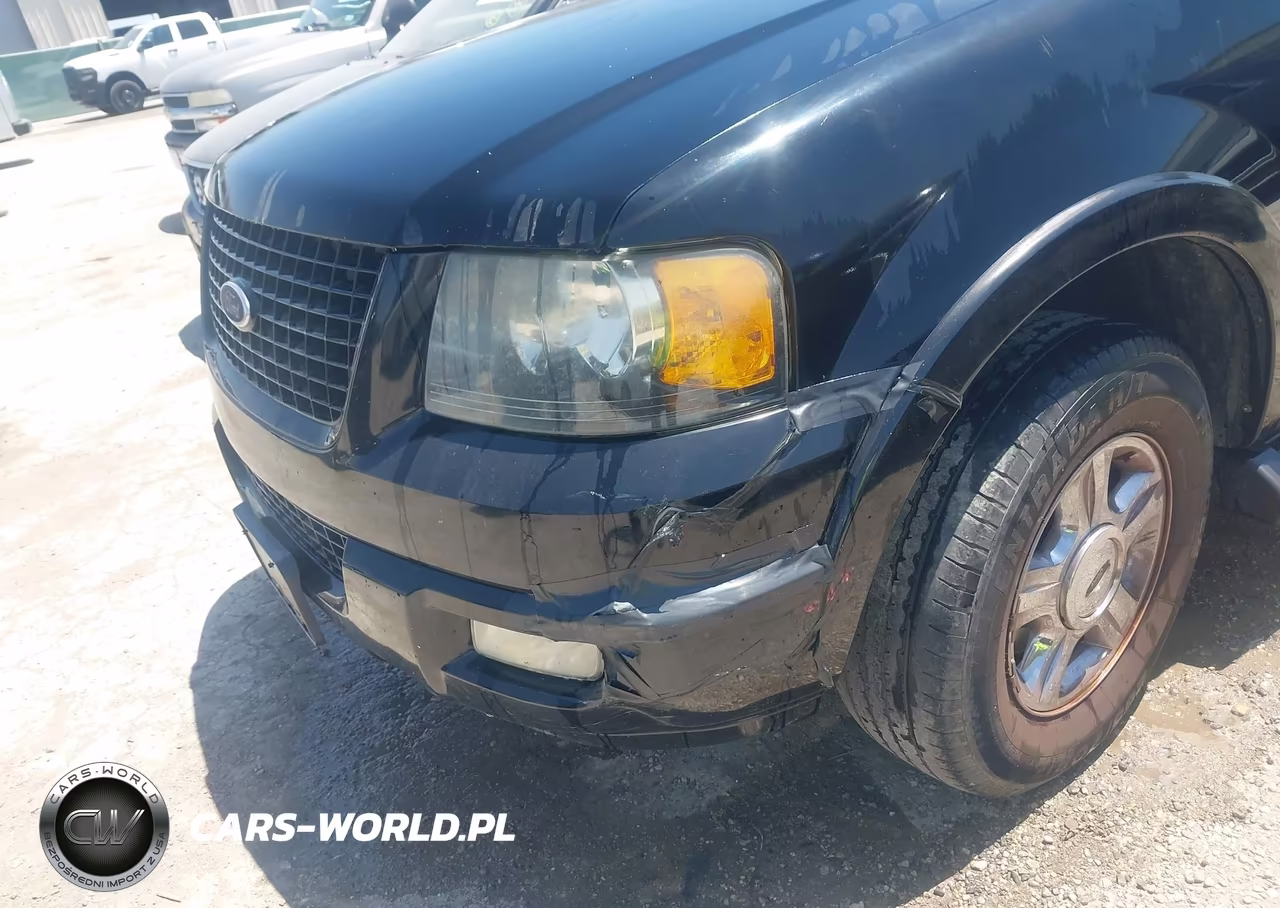 2006 Ford Expedition Limited VIN:1FMFU19586LA49663 - 12