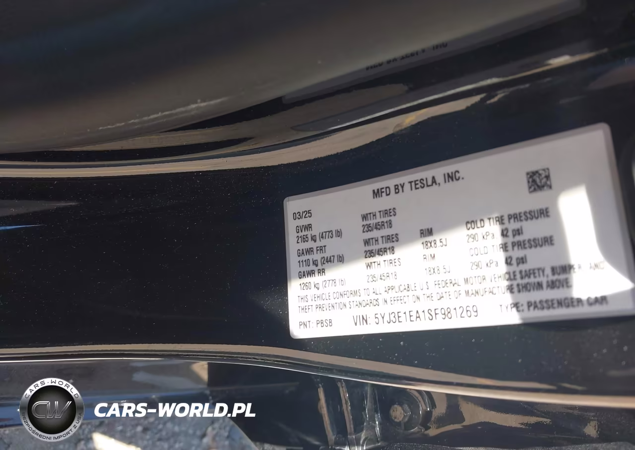 2025 Tesla Model 3 Long Range Rear-Wheel Drive-Standard Rear-Wheel Drive VIN:5YJ3E1EA1SF981269 - 9