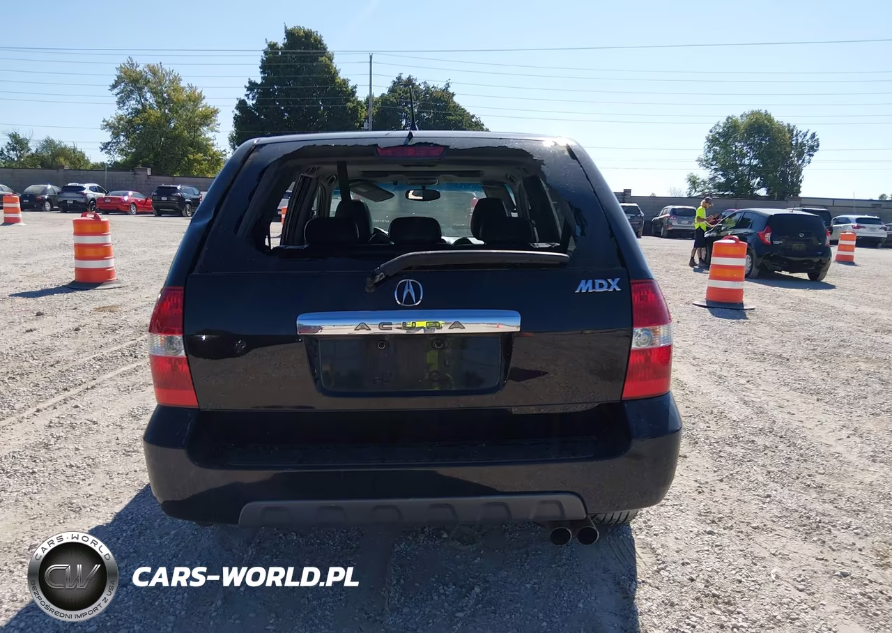 2003 Acura Mdx VIN:2HNYD18213H521368 - 17