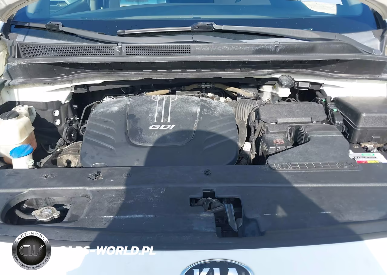 2016 Kia Sedona Sx VIN:KNDMC5C13G6153960 - 10