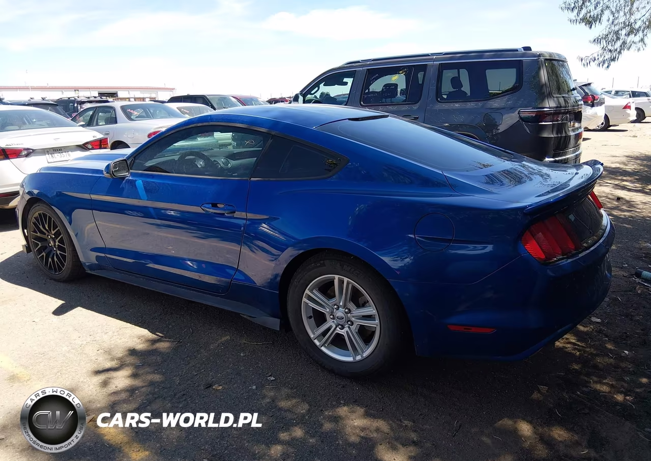 2017 Ford Mustang V6 VIN:1FA6P8AM6H5358133 - 3