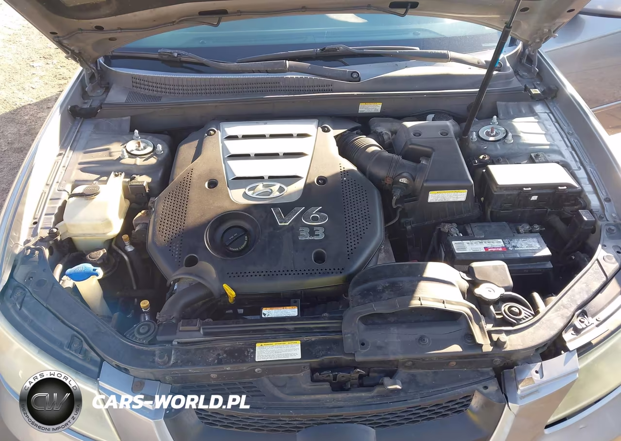 2006 Hyundai Sonata Gls V6-Lx V6 VIN:5NPEU46FX6H071800 - 10