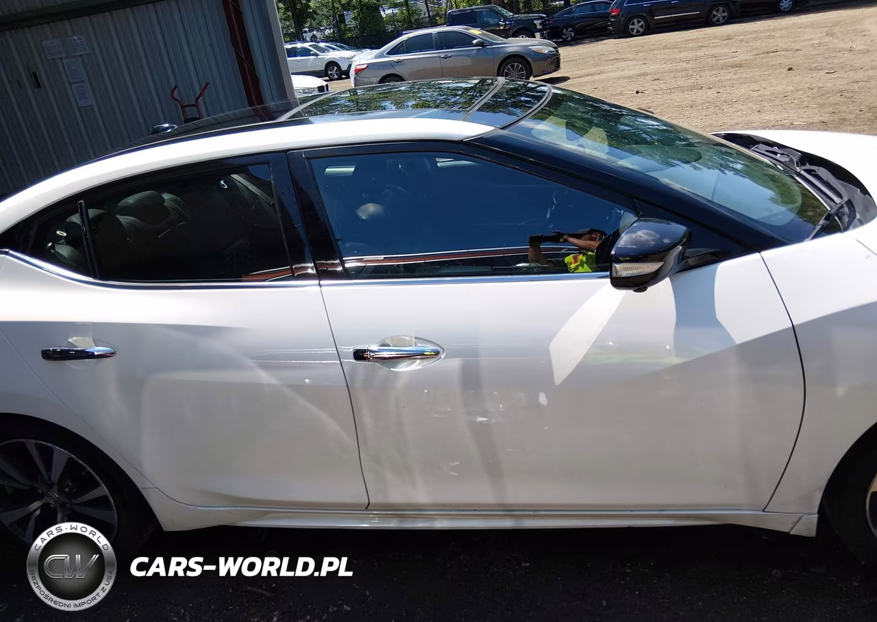 2016 Nissan Maxima 3.5 Platinum VIN:1N4AA6APXGC404275 - 13