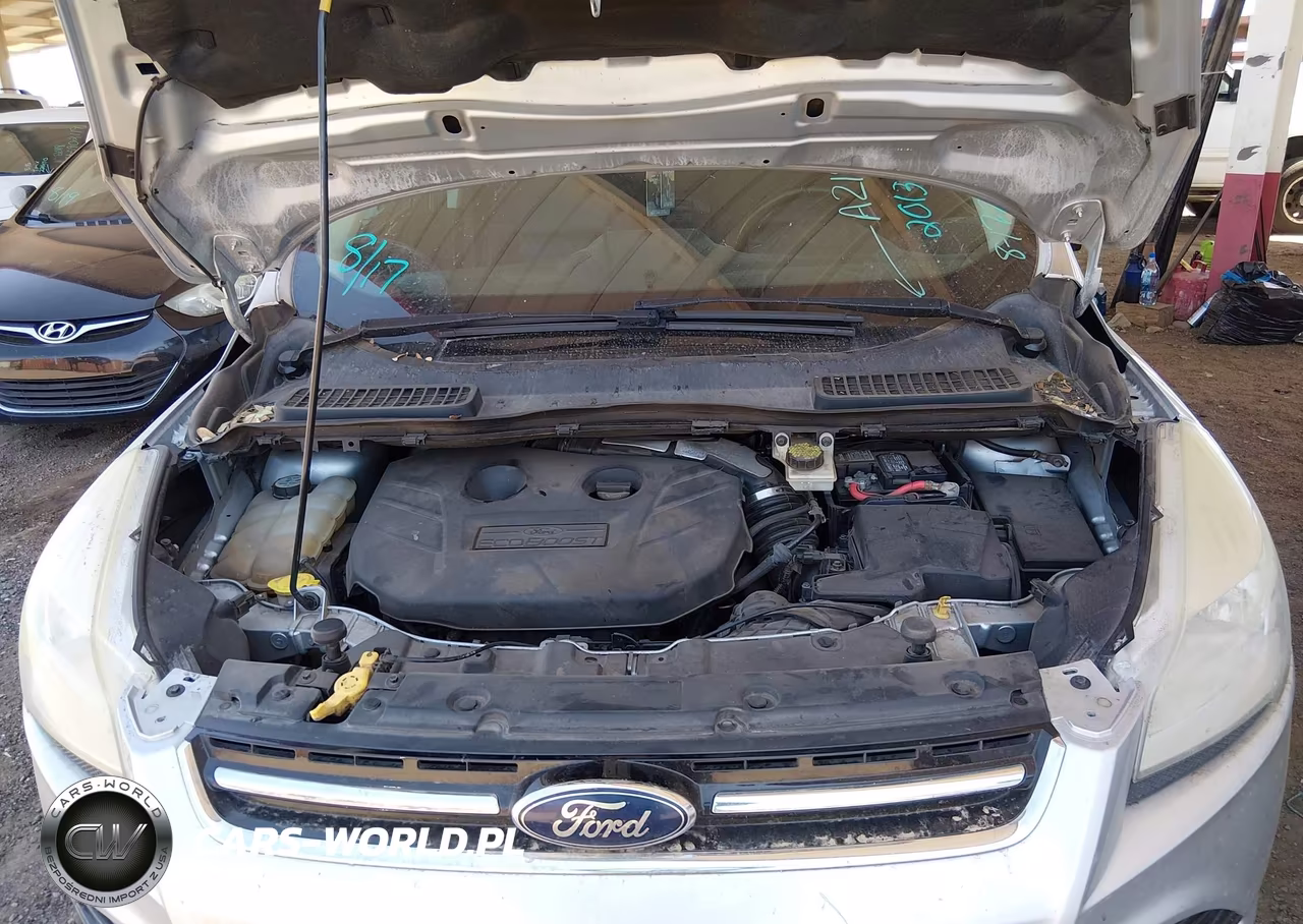 2013 Ford Escape Sel VIN:1FMCU0H95DUA21411 - 10