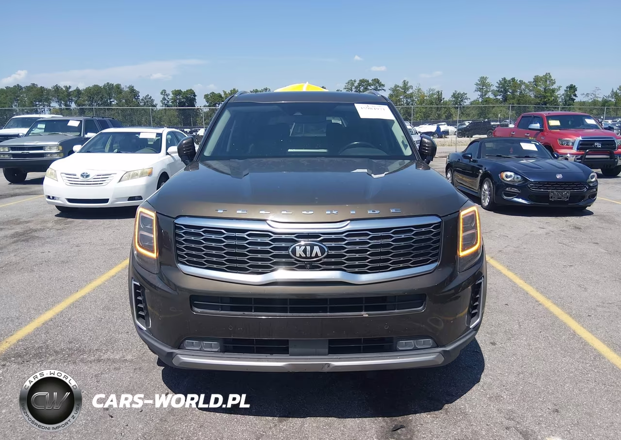 2020 Kia Telluride Sx VIN:5XYP54HC3LG031568 - 12