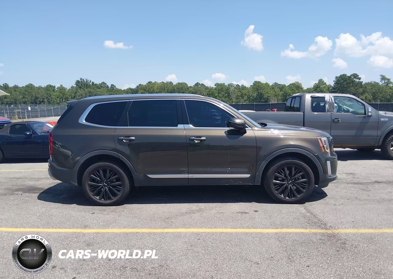 2020 Kia Telluride Sx VIN:5XYP54HC3LG031568 - 13