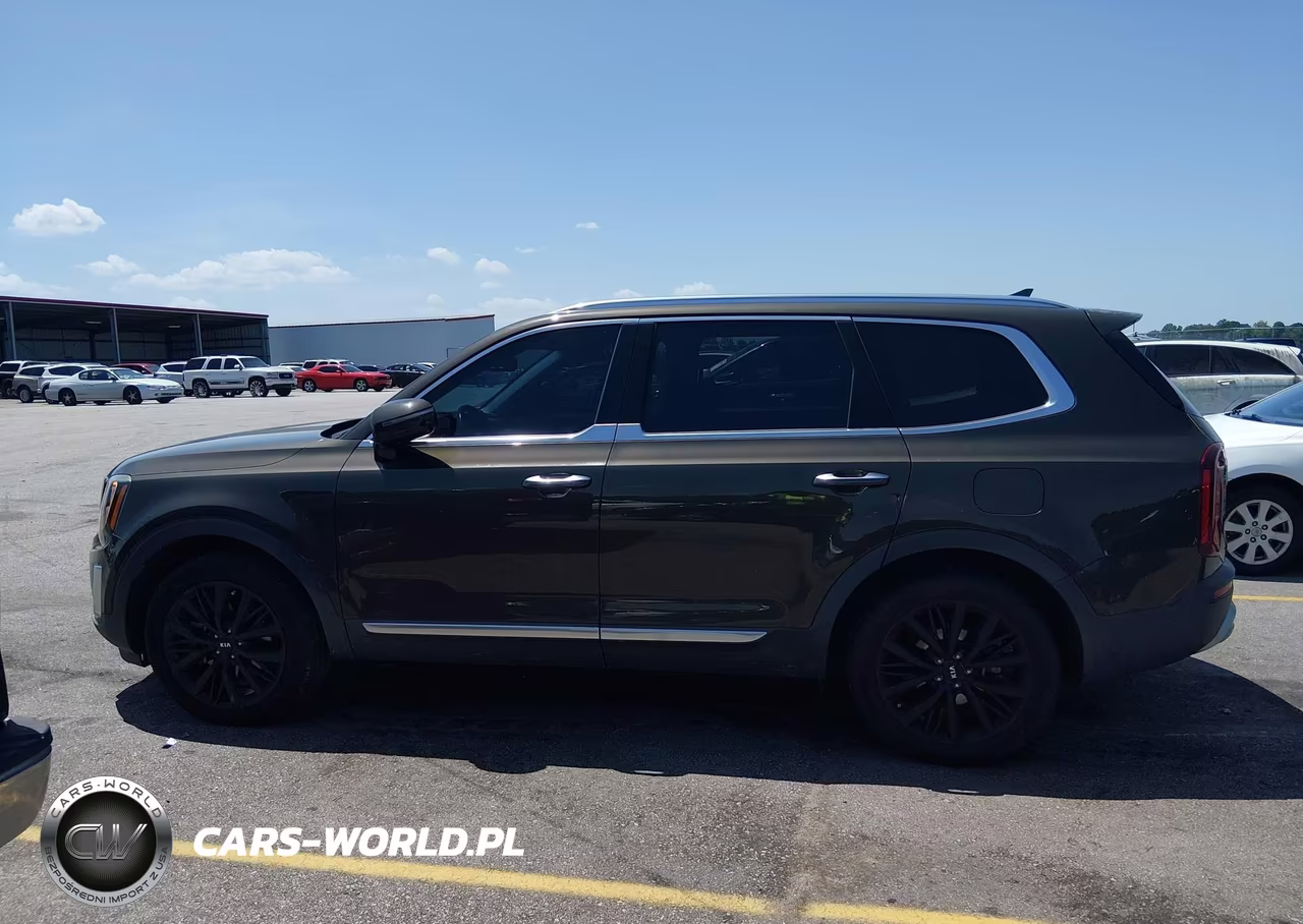 2020 Kia Telluride Sx VIN:5XYP54HC3LG031568 - 14
