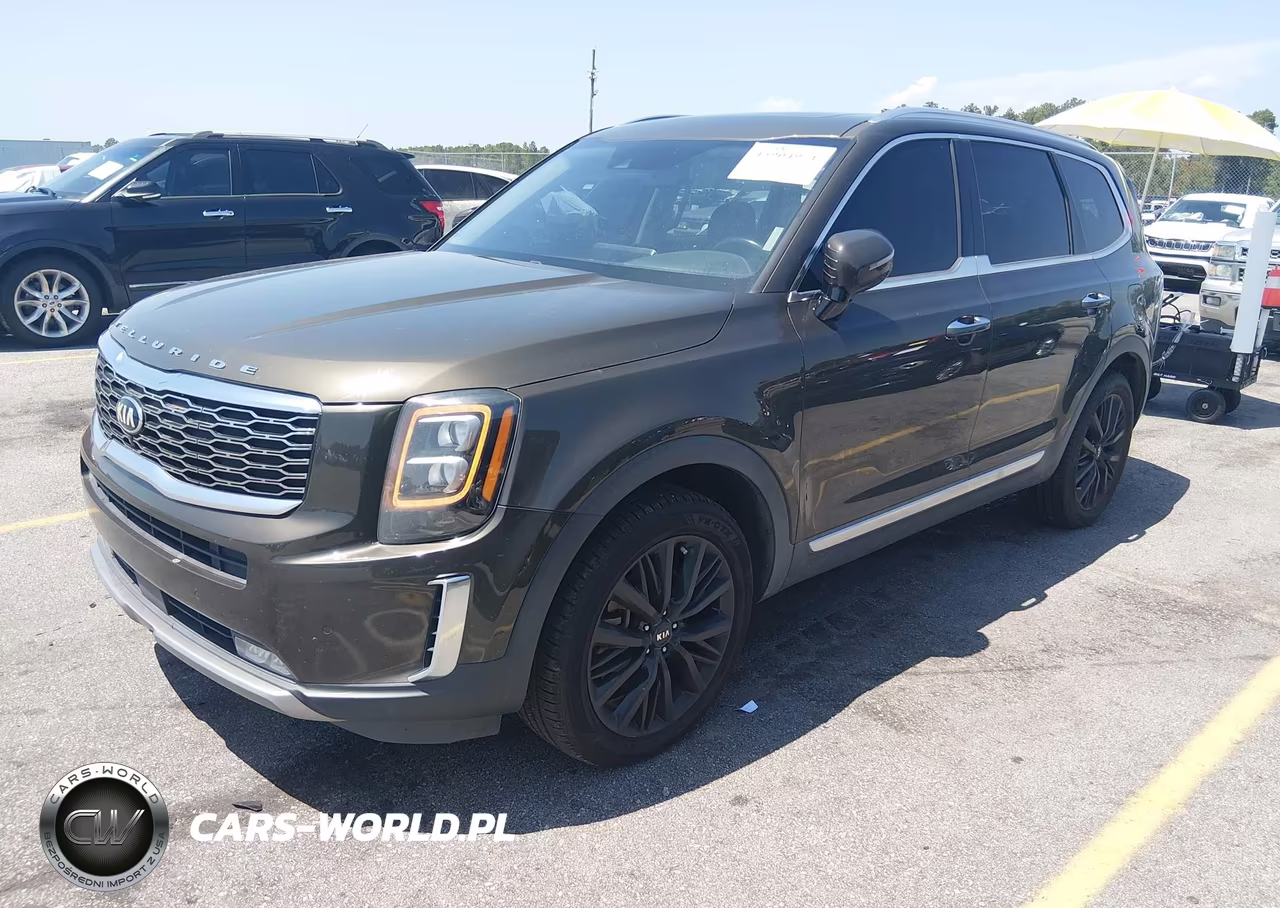 2020 Kia Telluride Sx VIN:5XYP54HC3LG031568 - 2
