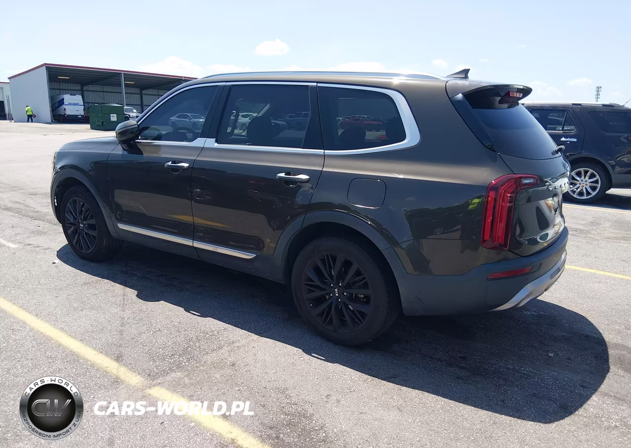 2020 Kia Telluride Sx VIN:5XYP54HC3LG031568 - 3
