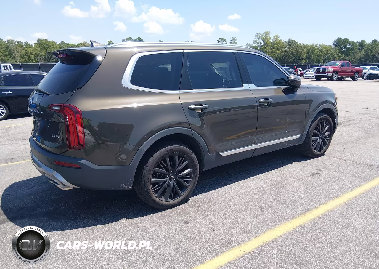 2020 Kia Telluride Sx VIN:5XYP54HC3LG031568 - 4