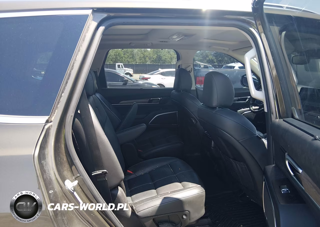 2020 Kia Telluride Sx VIN:5XYP54HC3LG031568 - 8