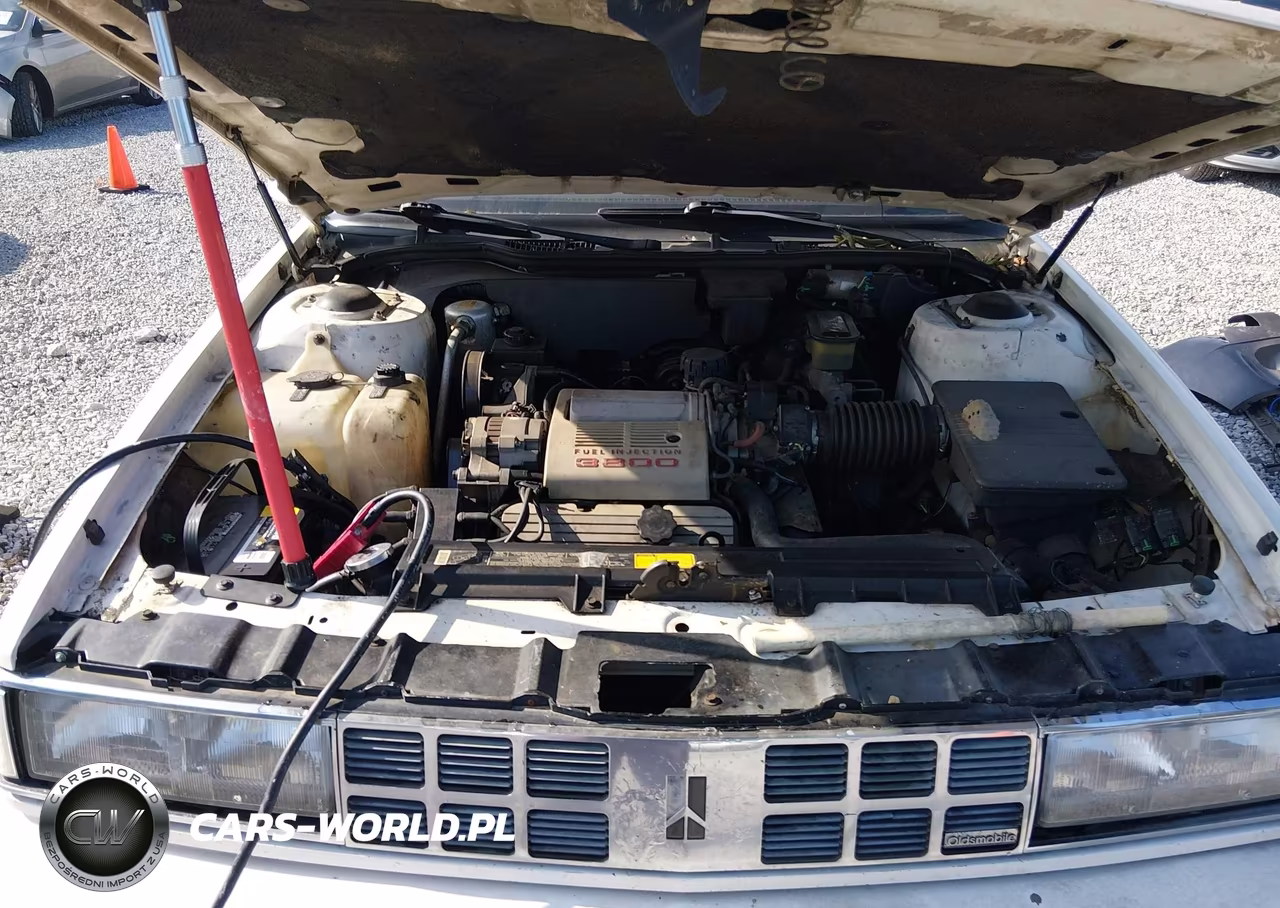 1990 Oldsmobile 98 Regency VIN:1G3CX54C1L4362233 - 10