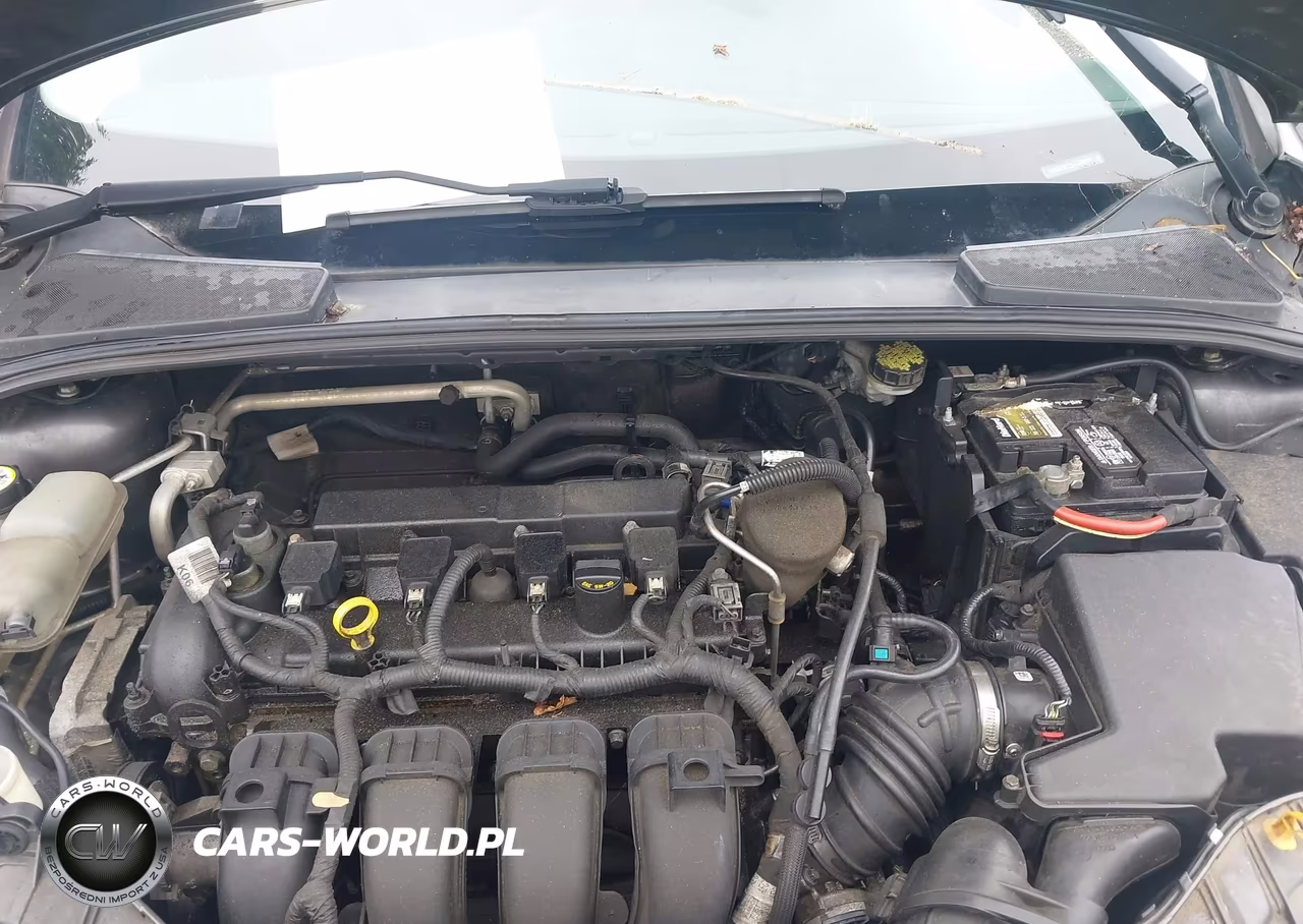 2015 Ford Focus Se VIN:1FADP3F25FL345819 - 10