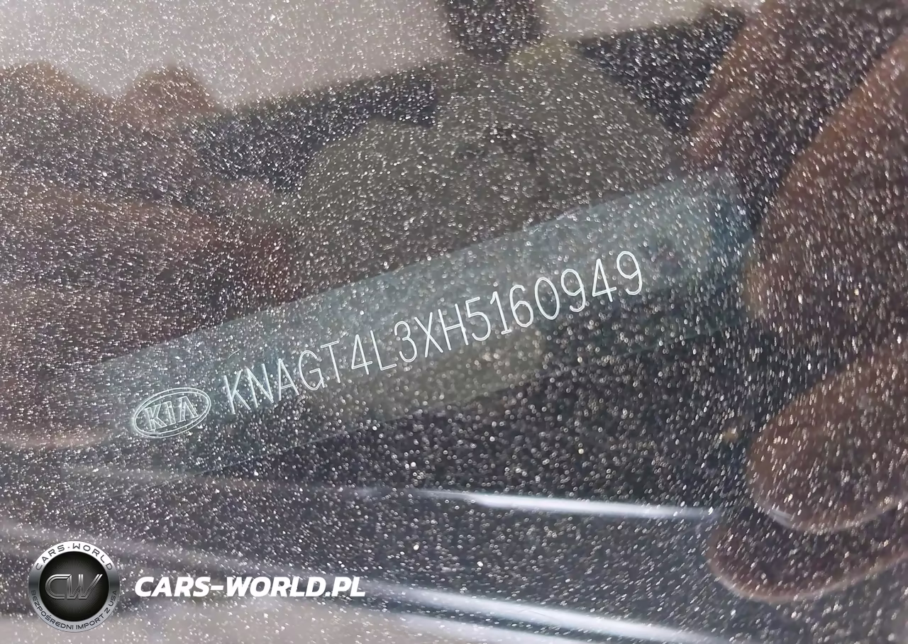 2017 Kia Optima Lx VIN:KNAGT4L3XH5160949 - 9
