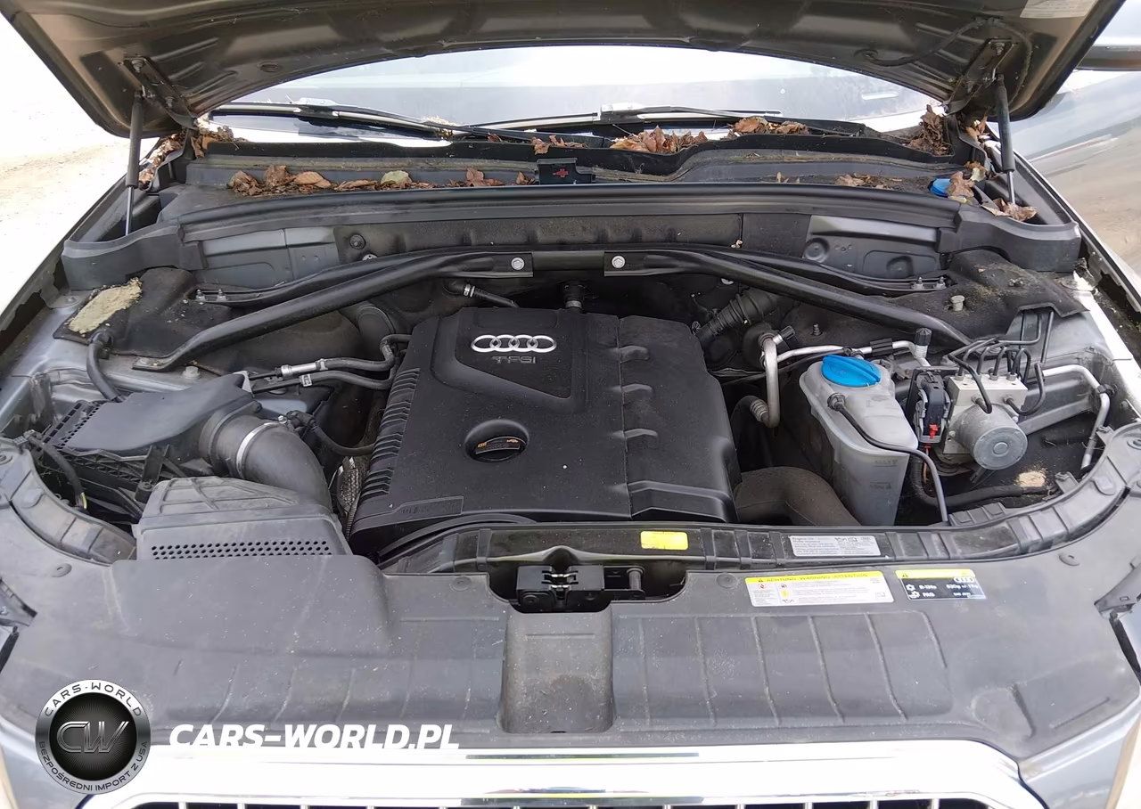 2013 Audi Q5 2.0T Premium VIN:WA1LFAFP2DA101041 - 10