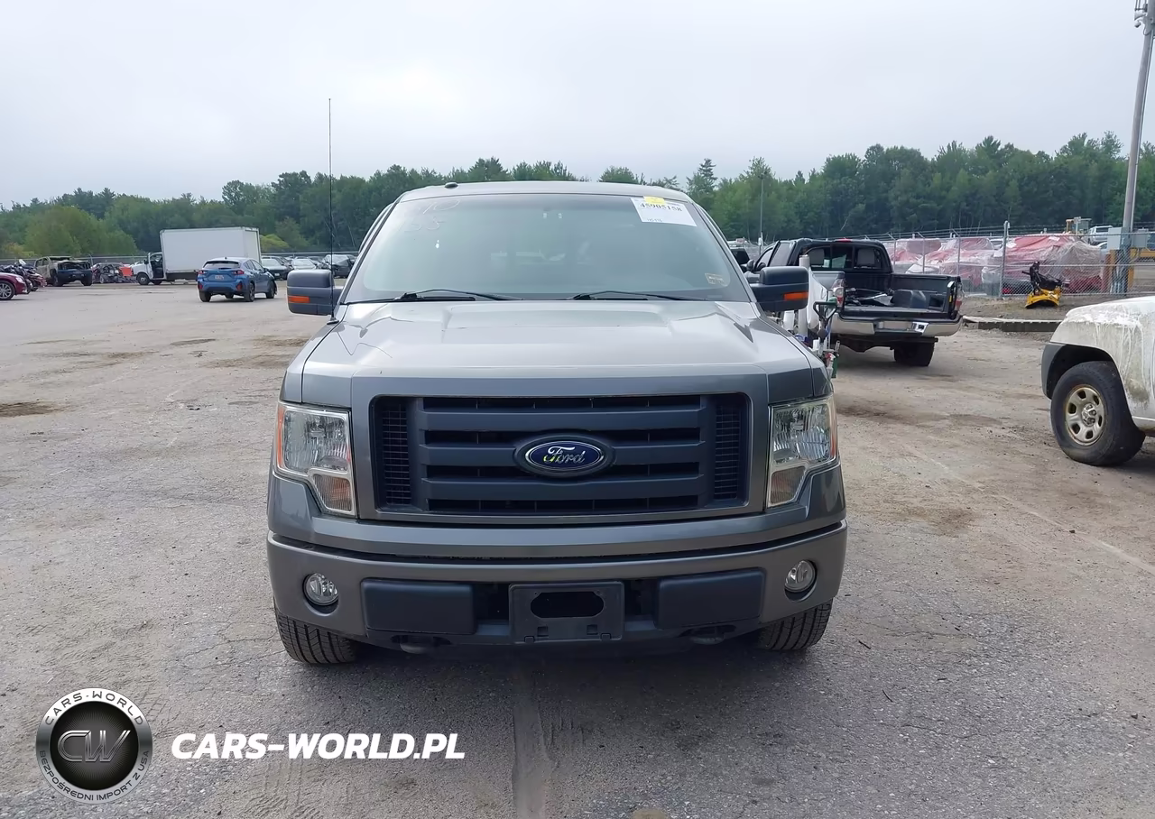 2010 Ford F-150 Fx4-Lariat-Xl-Xlt VIN:1FTFX1EV5AFB25767 - 12