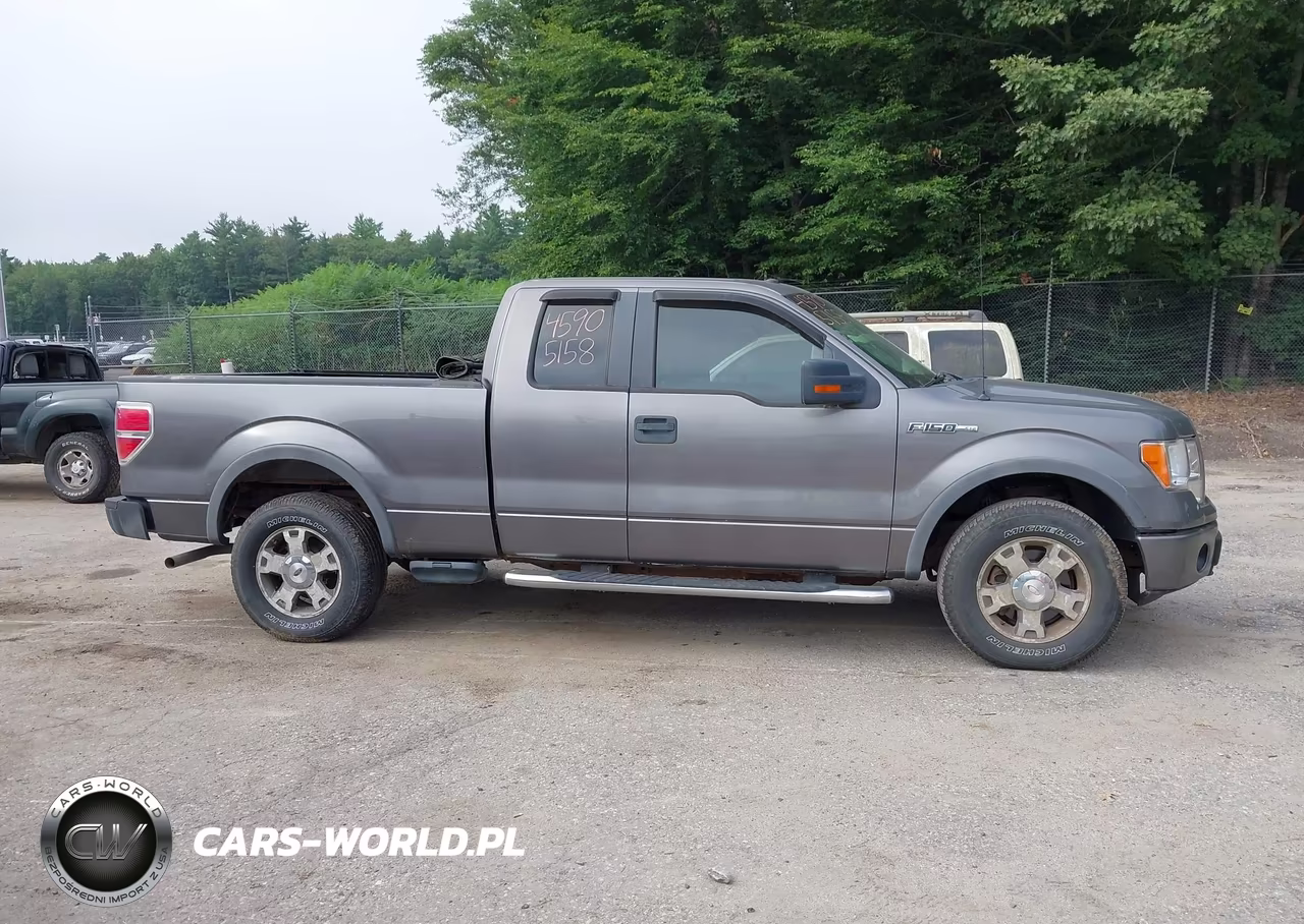 2010 Ford F-150 Fx4-Lariat-Xl-Xlt VIN:1FTFX1EV5AFB25767 - 13