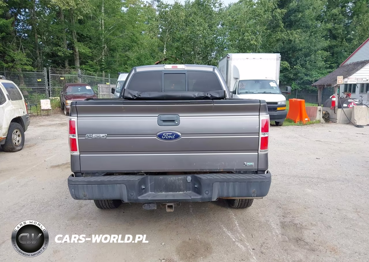 2010 Ford F-150 Fx4-Lariat-Xl-Xlt VIN:1FTFX1EV5AFB25767 - 16