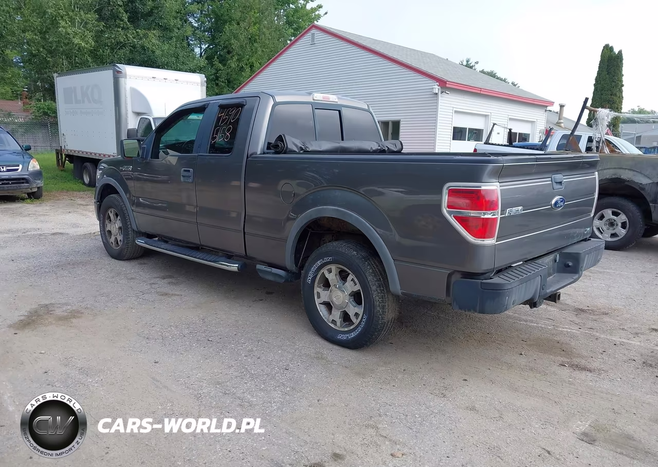 2010 Ford F-150 Fx4-Lariat-Xl-Xlt VIN:1FTFX1EV5AFB25767 - 3