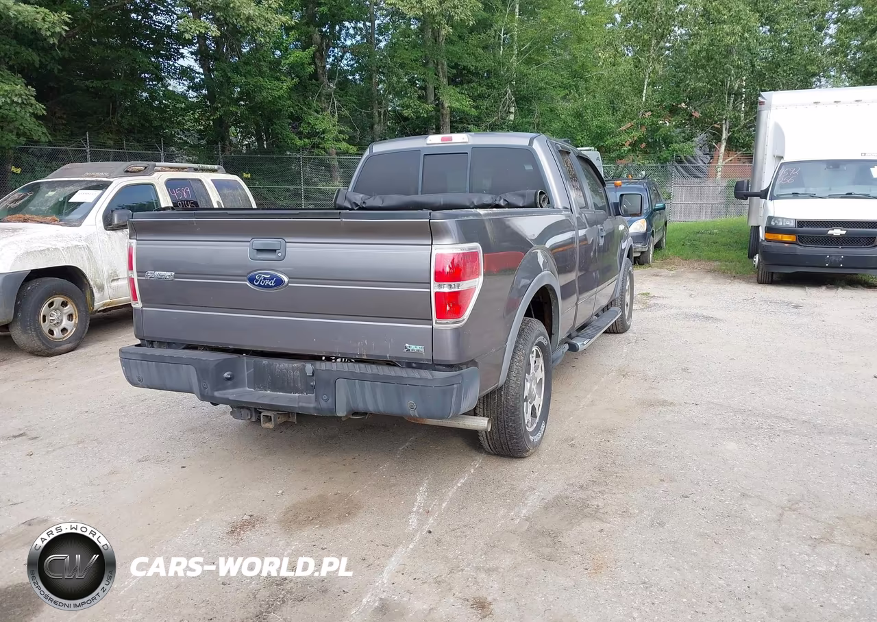 2010 Ford F-150 Fx4-Lariat-Xl-Xlt VIN:1FTFX1EV5AFB25767 - 4