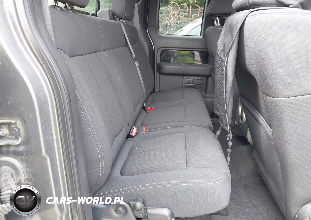 2010 Ford F-150 Fx4-Lariat-Xl-Xlt VIN:1FTFX1EV5AFB25767 - 8
