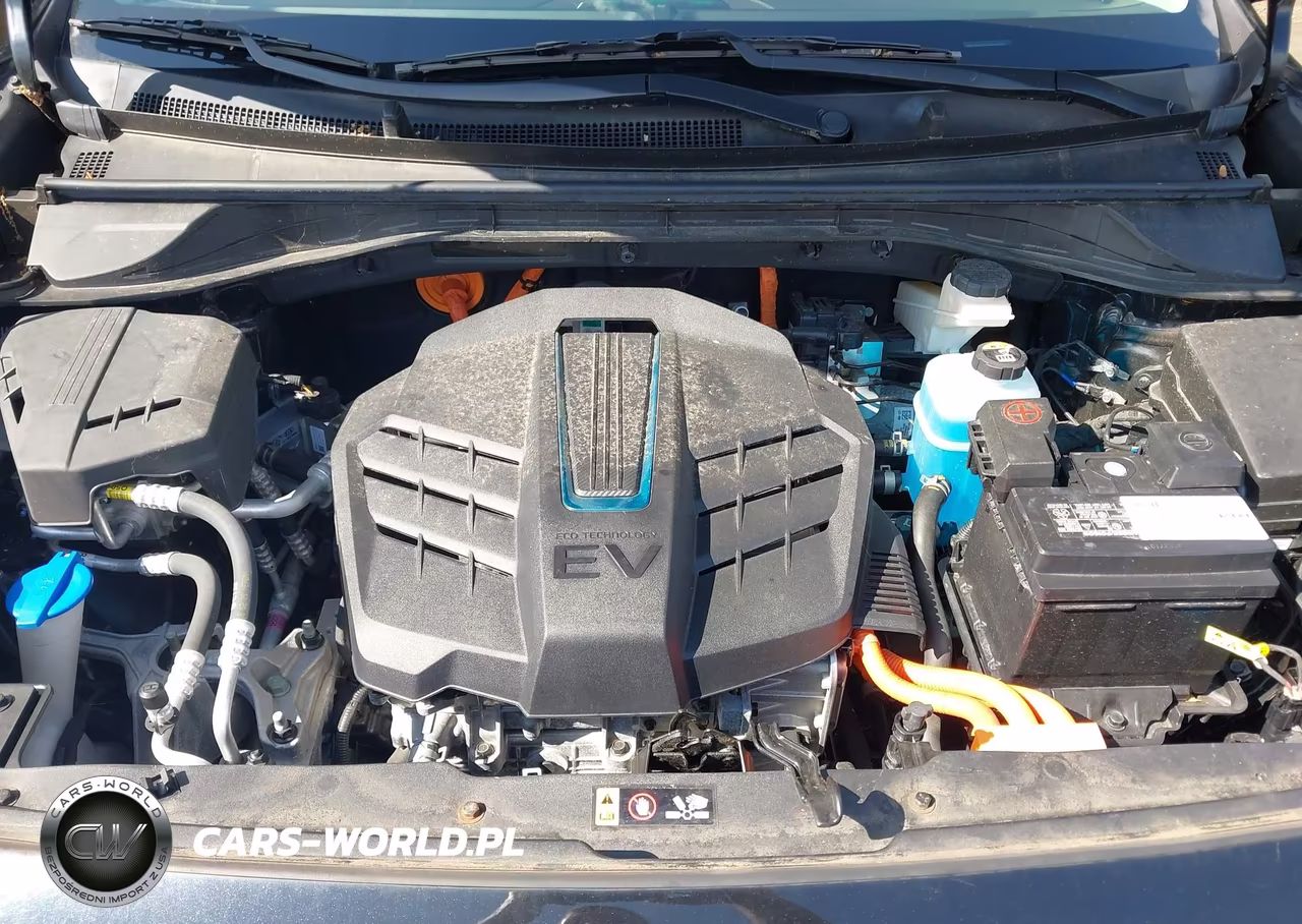 2021 Kia Niro Ev Ex VIN:KNDCC3LGXM5098493 - 10