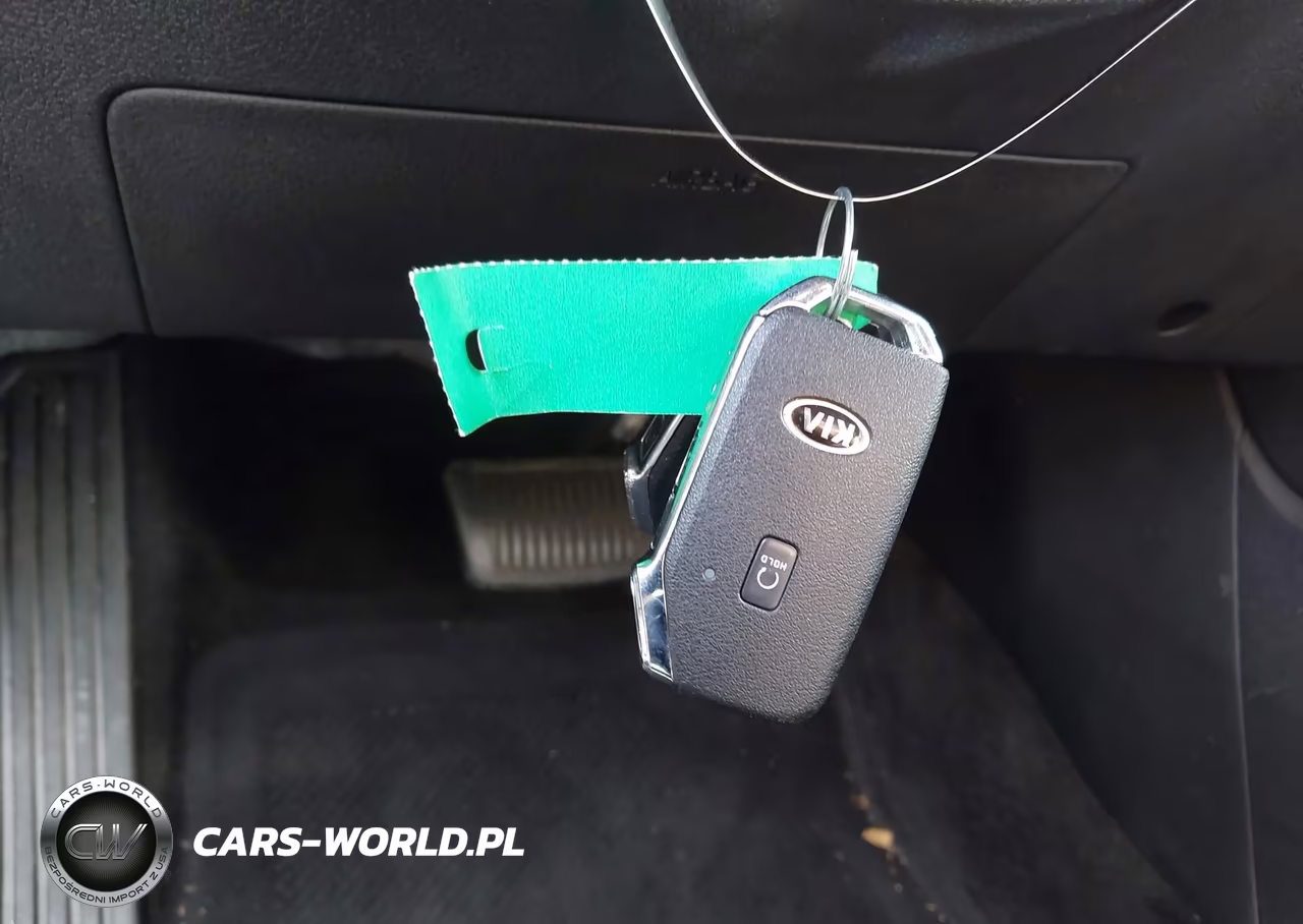 2021 Kia Niro Ev Ex VIN:KNDCC3LGXM5098493 - 11