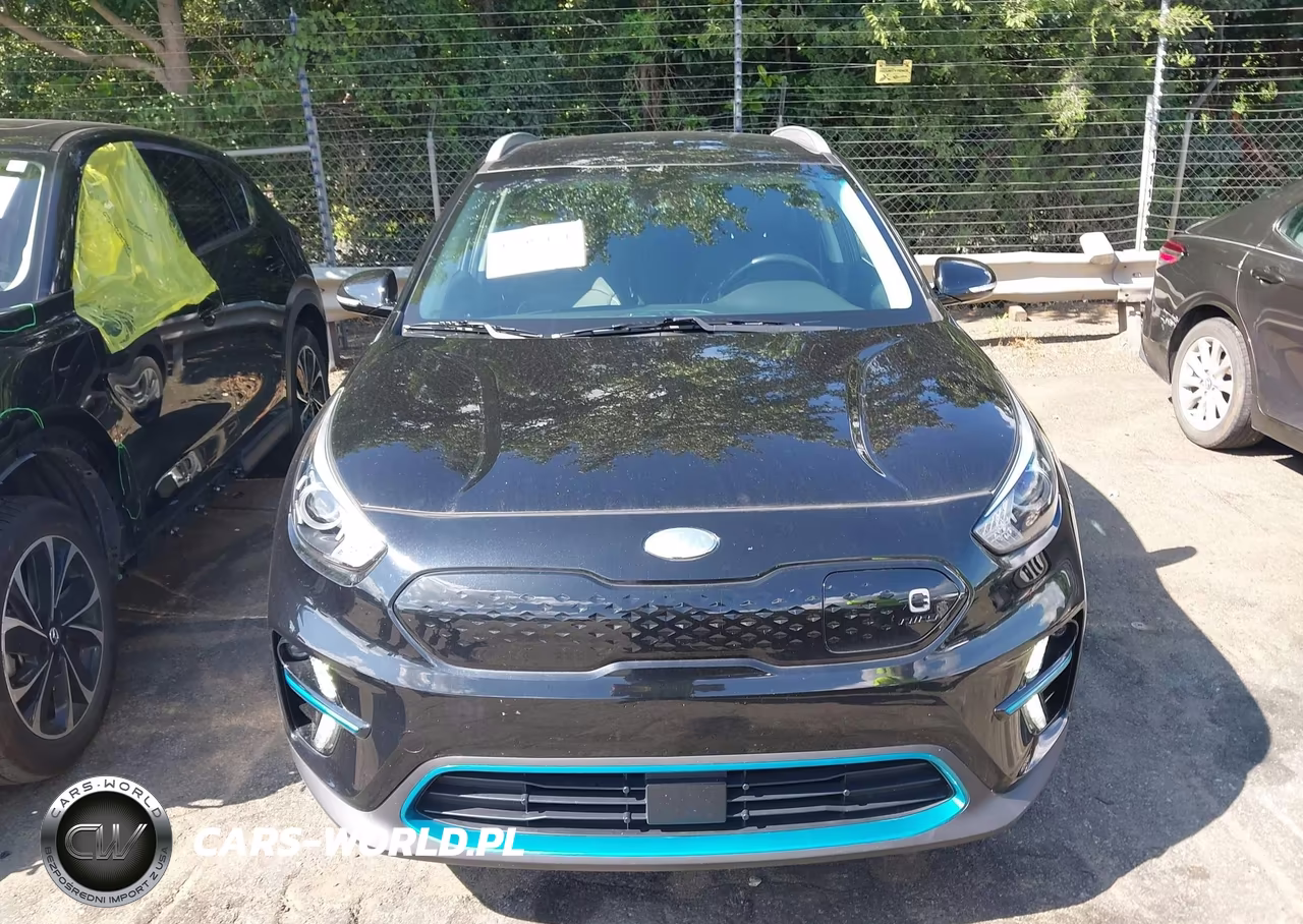 2021 Kia Niro Ev Ex VIN:KNDCC3LGXM5098493 - 12