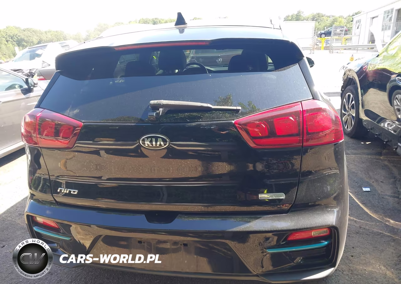2021 Kia Niro Ev Ex VIN:KNDCC3LGXM5098493 - 16