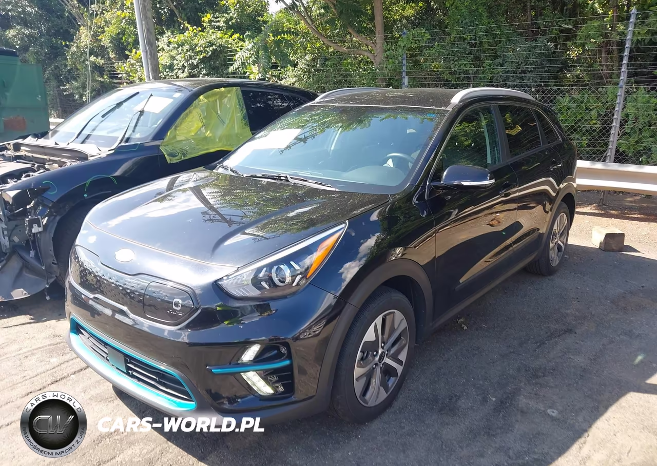 2021 Kia Niro Ev Ex VIN:KNDCC3LGXM5098493 - 2
